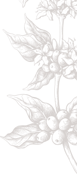 decoration side image